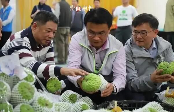 臺灣幾千噸鳳梨釋迦滯銷 島內消費者難以消化如此大的量
