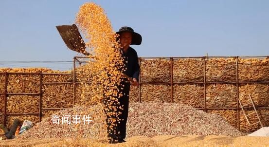 抓好糧食和重要農產品穩(wěn)產保供 糧食產量連續(xù)8年穩(wěn)定在1.3萬億斤以上
