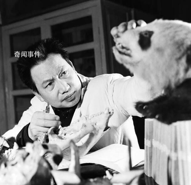 “中國大熊貓之父”胡錦矗去世 胡錦矗個人資料簡介