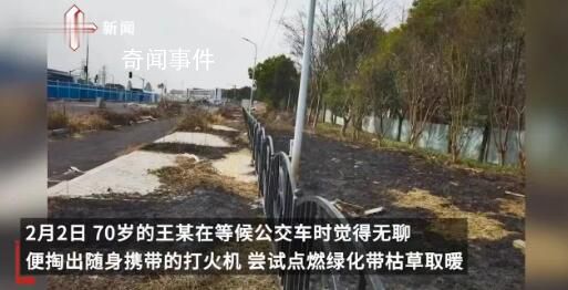 老人等公交無聊燒綠化帶 導致部分樹木燒損