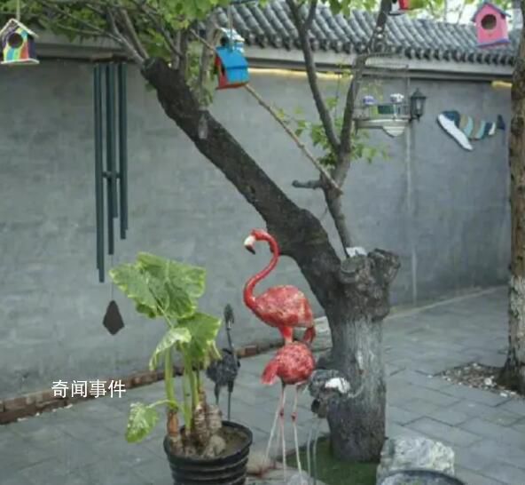 張頌文的農家院 有一種回歸到了大自然的感覺