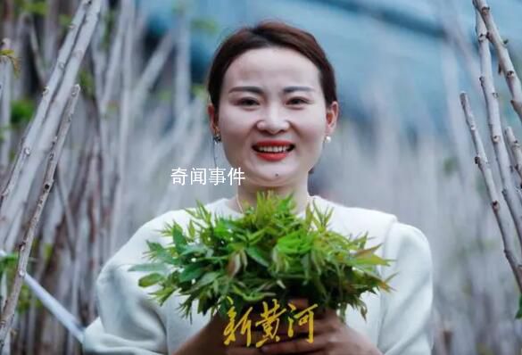 幼師轉行新農人年入500萬 大棚內種植香椿樹當地還是獨一份