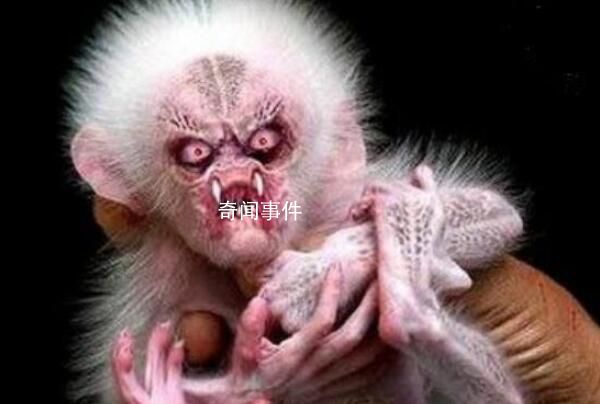 水猴子真的存在嗎 水猴子是什么動物 水猴子恐怖照片