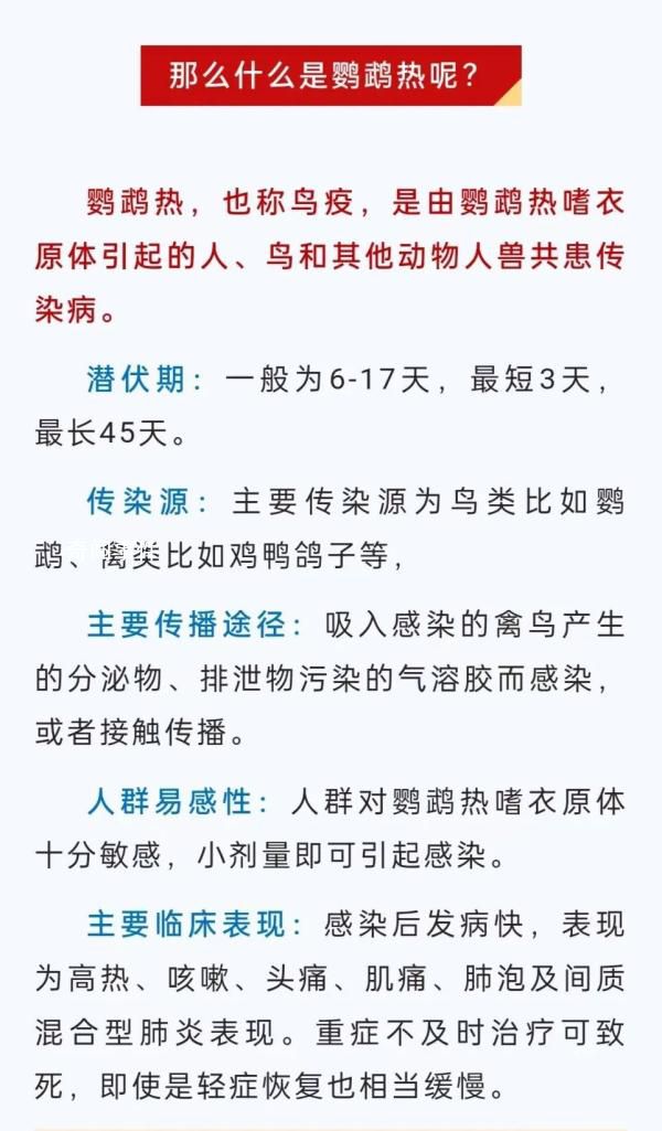 浙江一地本月連續報告鸚鵡熱病例 鸚鵡熱是什么病會傳染嗎
