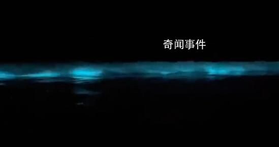 廣東海陵島海灘連日現“藍眼淚” 這是2023年海陵島的第一次