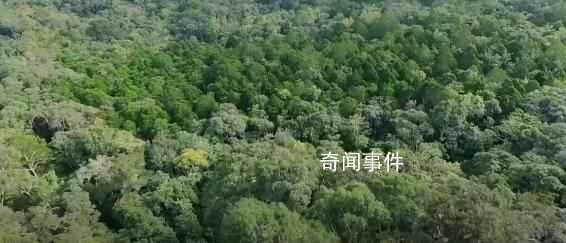 守護生態寶庫 感受大自然的獨特魅力