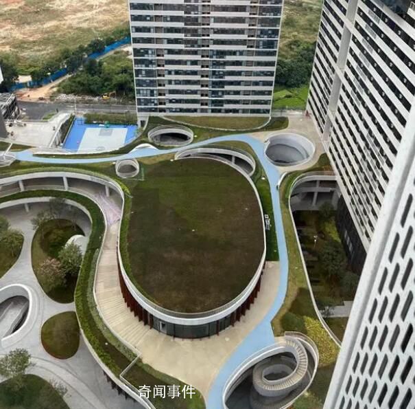 新平臺、新通道、新銜接 引領灣區科技創新邁向更高層