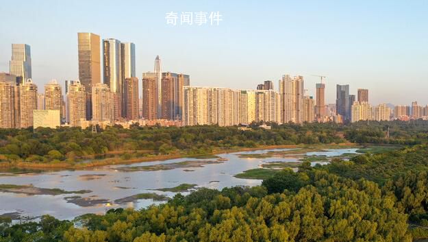 深圳一樓盤送60萬首付 已被查處