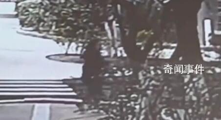 6歲女童被玩伴踹進水池 至今沒等到父母的說