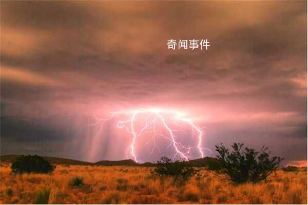 薩摩福特雷擊是真的嗎 薩摩福特為什么多次被劈