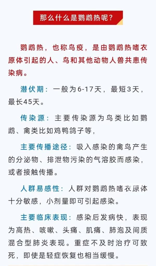 廣東一病例高燒不退潛伏45天 鸚鵡熱的臨床表現是什么