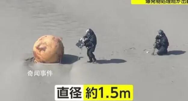日本海岸現(xiàn)不明球狀物:直徑1.5米