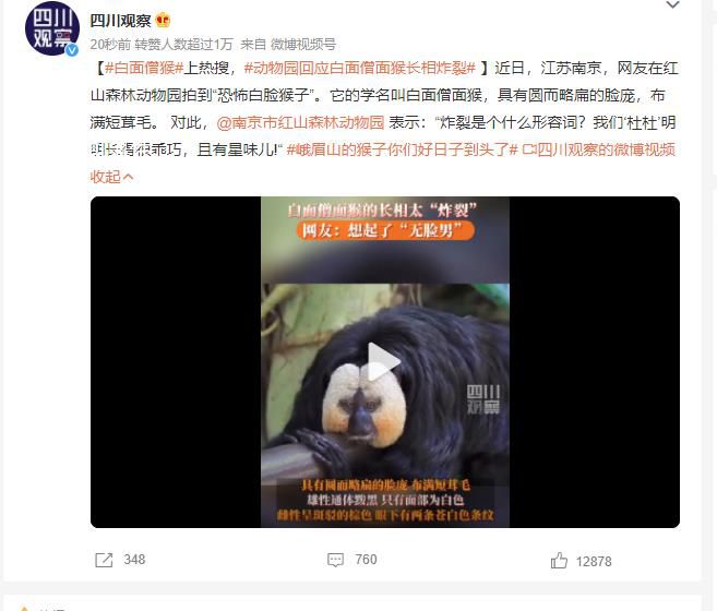 動物園回應白面僧面猴長相炸裂 我們杜杜明明長得很乖巧