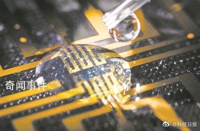 科學(xué)家在大腦中培育出電極 為在生物體中形成完全集成的電子電路鋪平了道路