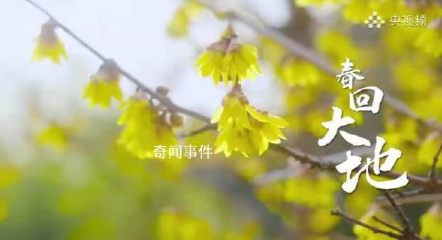 春日里的中國(guó)大地色彩斑斕 孕育五谷豐登又一年