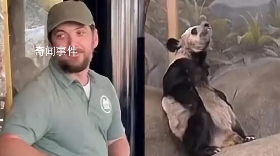 美動物園稱丫丫毛發(fā)稀疏是家族遺傳 這種情況不會影響它的生活質量