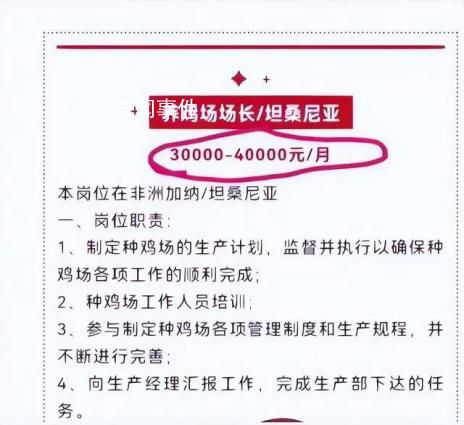 非洲養(yǎng)雞月薪4萬?在非養(yǎng)雞人揭秘 