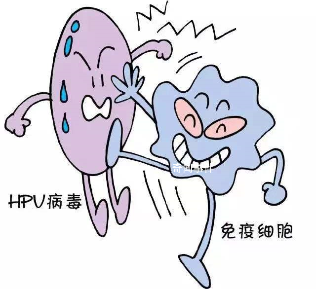 HPV病毒能導致哪些疾病 HPV感染癥狀有什么具體表現