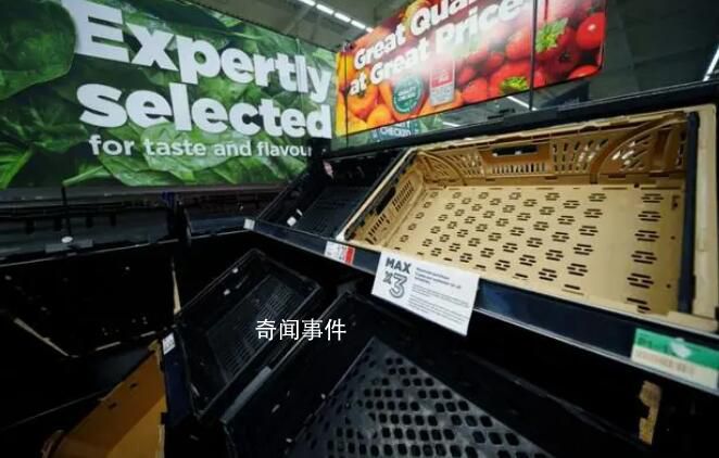 番茄漲價太狠 英國餐館推出白披薩