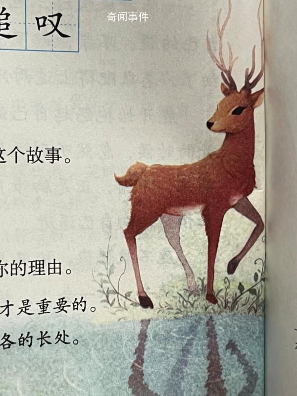 小學生給課本挑錯新教材真的改了 愿每一個孩子都心有熱愛眼中有光