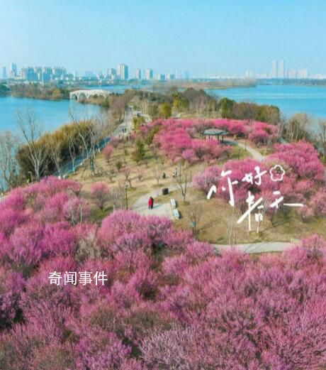 南方多地已經入春 較常年偏早