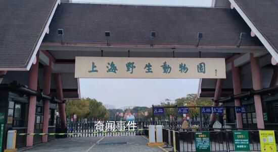 上海野生動(dòng)物園多次抽查發(fā)現(xiàn)問題 這究竟是怎么回事