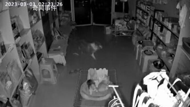 安徽亳州多地市民凌晨聽到巨響 會進一步核實