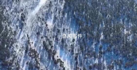 感受大美中國的生機與活力 春雪消融水墨龍江