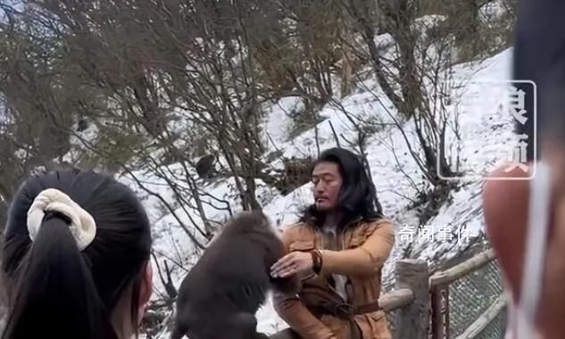 當事人回應和峨眉山猴子練搏擊互毆 引發(fā)周圍游客圍觀