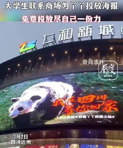 商場(chǎng)回應(yīng)無償設(shè)計(jì)丫丫海報(bào)并投放 一起等丫丫回家