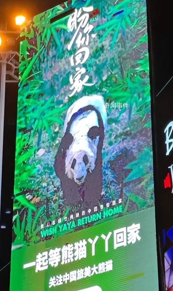 義烏一商場(chǎng)大屏現(xiàn)巨幅丫丫海報(bào) 期待丫丫平安歸來