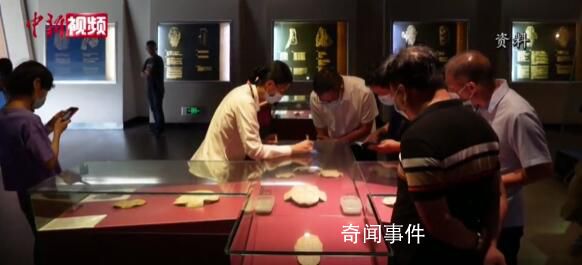 全國人大代表建議甲骨文數字化 做好甲骨文保護研究與活化利用