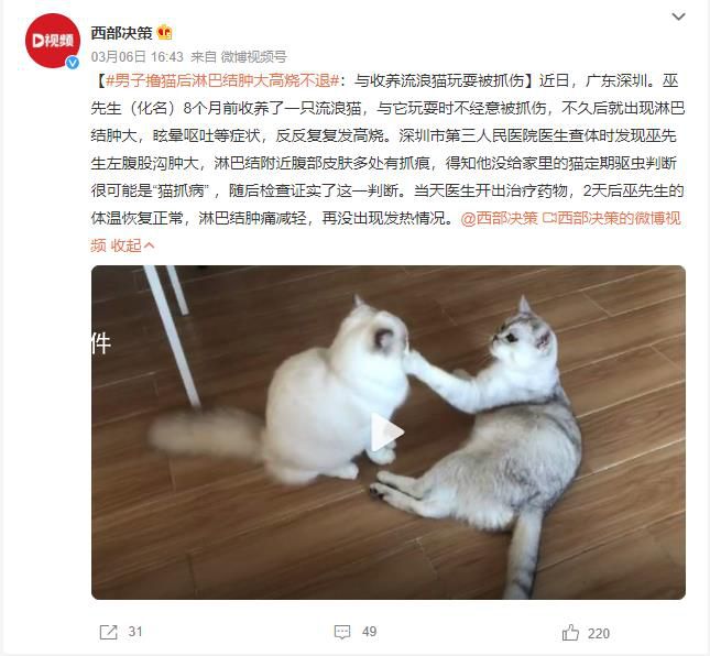 男子擼貓后淋巴結腫大高燒不退 貓抓病會致死嗎