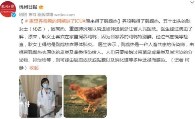 女子喜歡養雞鴨患鸚鵡熱住進ICU 鸚鵡熱是什么病會傳染嗎
