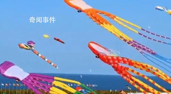 海洋風箏爆火 網友:春天的信號