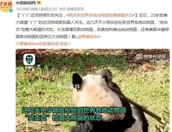 網友突擊式檢查世界各地大熊貓 這幾天不少網友紛紛到世界各地動物園