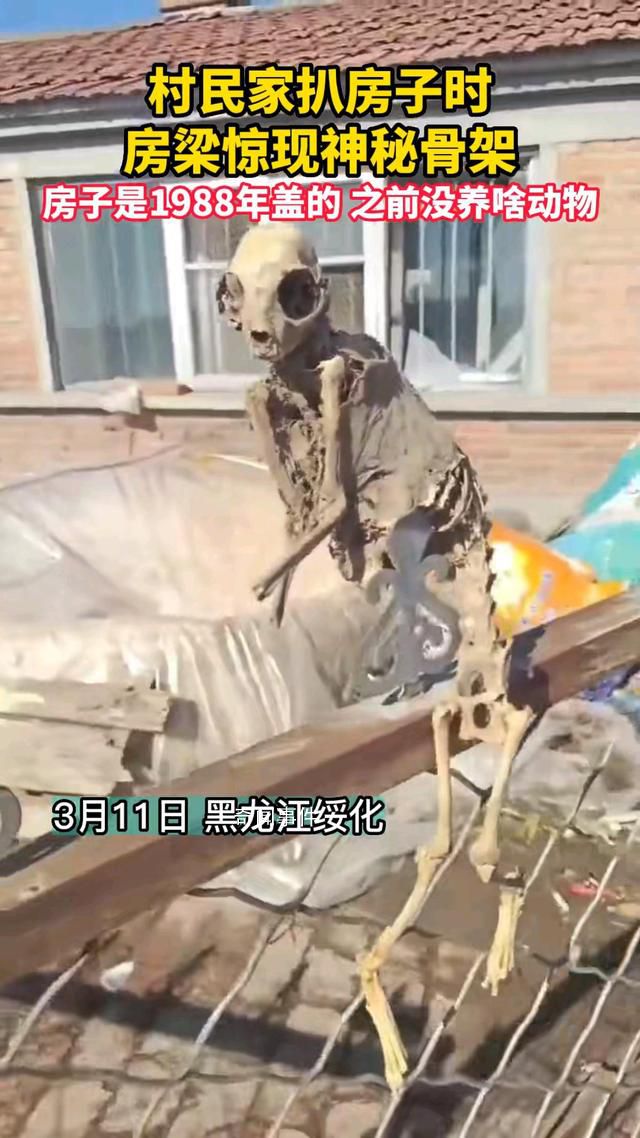 村民房梁現神秘骨架 背后真相令人震驚