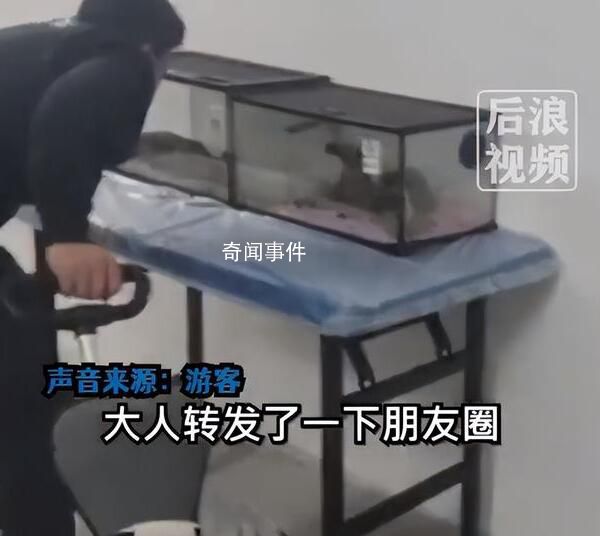 游客吐槽25元看海洋館就幾個魚缸 感覺受到了欺騙