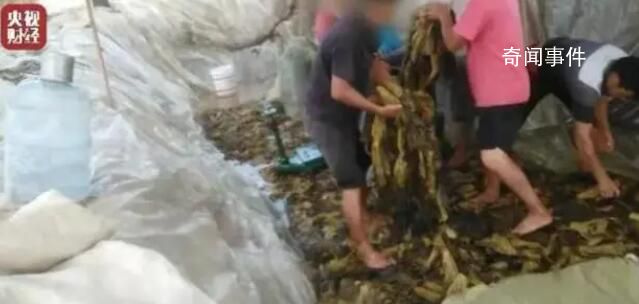 那些曾被315點過名的品牌怎么樣了 回顧過往的315