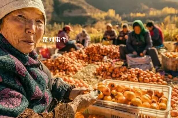 城鄉養老金水平差異明顯 如何破局
