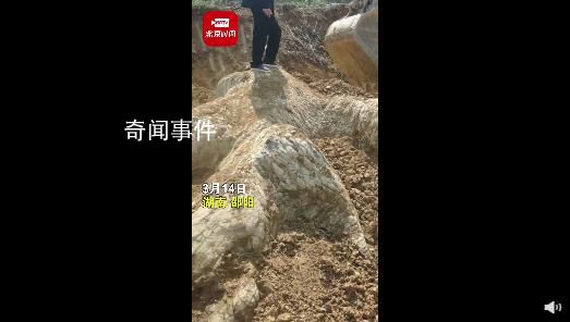 湖南邵陽疑似挖出龍化石?當地回應