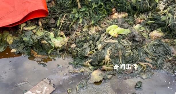知名橄欖菜企業(yè)生產(chǎn)環(huán)境觸目驚心 蒼蠅亂飛污水橫流