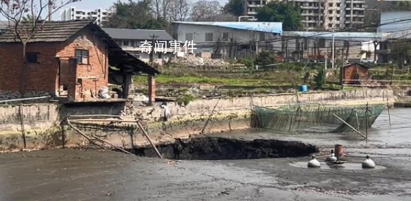 魚塘突現(xiàn)深坑2萬斤魚一夜消失 當?shù)卣块T已經(jīng)介入調(diào)查此事