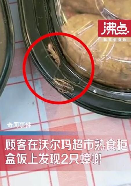 顧客曝沃爾瑪超市盒飯上蟑螂亂爬 網友：這種情況在超市普遍存在