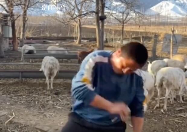 男子鏡頭前嗨舞被羊頂翻 實(shí)在是令人哭笑不得