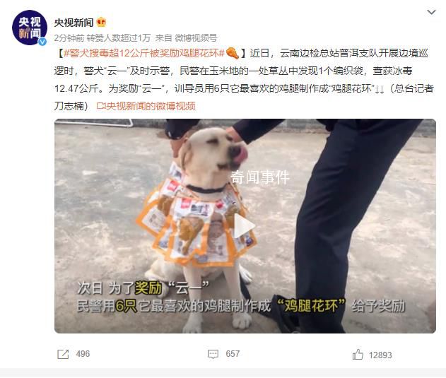 警犬搜毒超12公斤被獎勵雞腿花環 汪汪隊再立大功