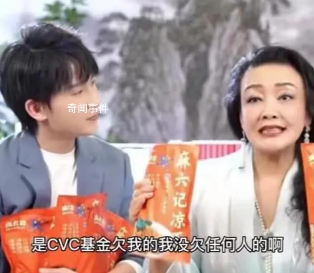 張?zhí)m回應(yīng)海外欠債9.8億 被資本算計