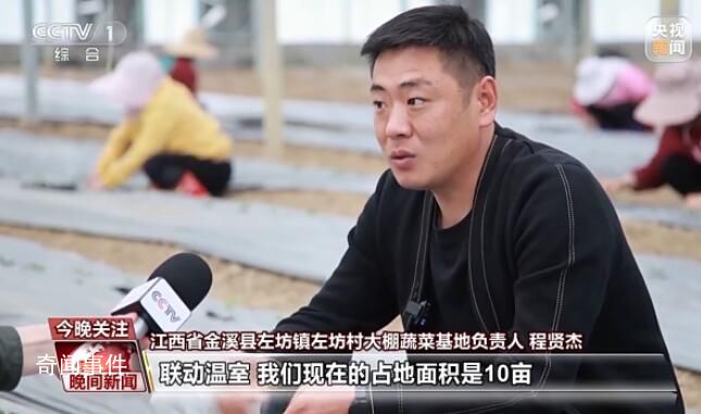 科技賦能“菜籃子” 品春鮮嘗春意