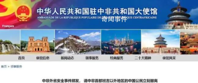 中國(guó)公民在中非遇襲9死2傷 中方回應(yīng)