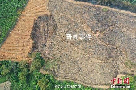 東航事故一年后航拍對(duì)比 山坳復(fù)綠重?zé)ㄉ鷻C(jī)